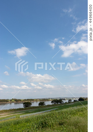 土手の風景と秋の空　埼玉県加須市 44966400