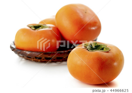 刀根柿　(Japanese persimmon) 44966625