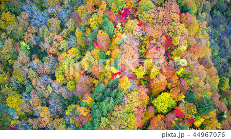 秋田内陸線沿線風景 44967076