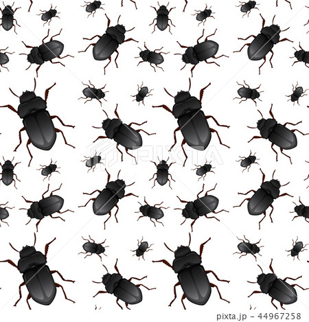 Beetle on seamless pattern Beetle on seamless pattern 44967258