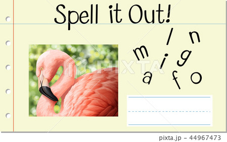 Spell English word flamingo 44967473