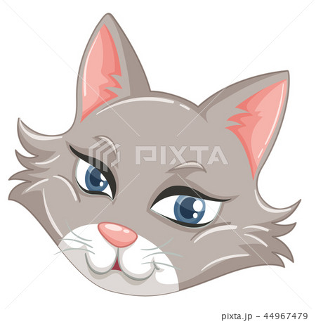 A face of cute cat A face of cute cat 44967479