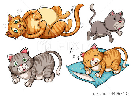 A set of cat character 44967532