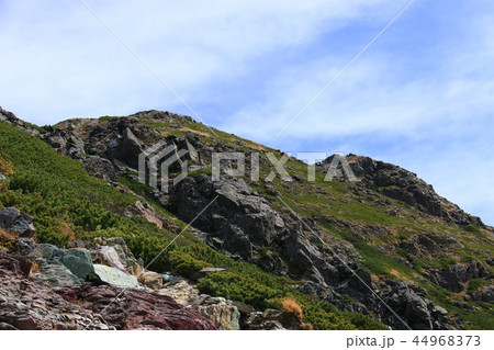 南アルプス塩見岳山頂への道 　山頂直下から頂上を望む 44968373