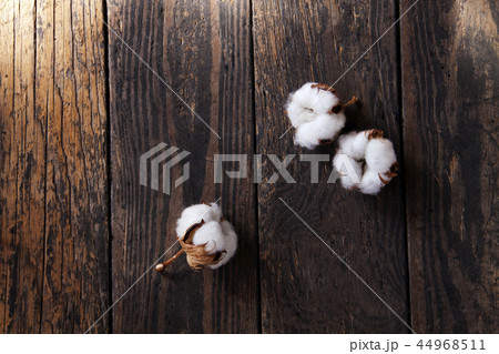 綿の花　板バック 44968511