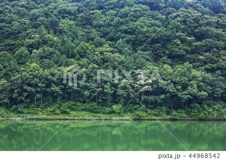 金剛 沃川郡 忠清北道 44968542