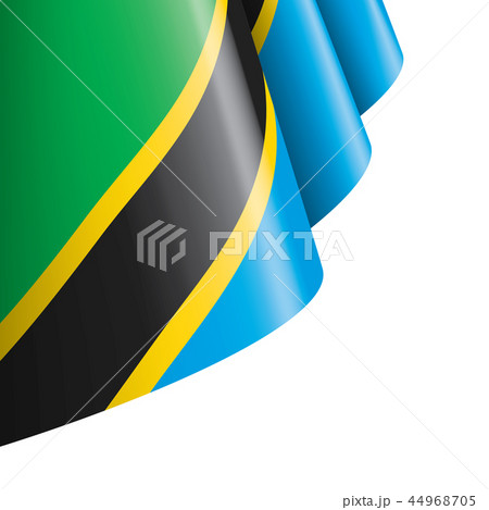 Tanzania flag, vector illustration on a white background 44968705