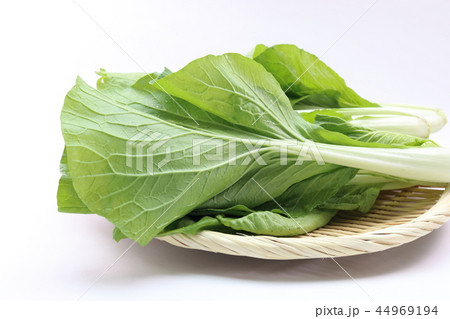 しろ菜 44969194