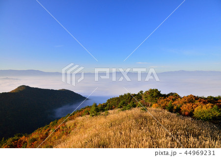 高ツムジ山の雲海 高ツムジ山の雲海 44969231