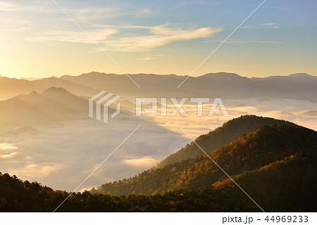 高ツムジ山の雲海 44969233