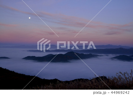 高ツムジ山の雲海 高ツムジ山の雲海 44969242