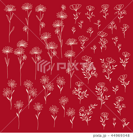 花のイラスト素材 花のイラスト素材 44969348