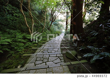 瑞泉寺参道 44969372