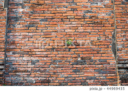 レンガ・赤・壁・素材・壁紙 レンガ・赤・壁・素材・壁紙 44969435