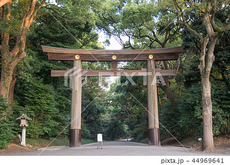 明治神宮　第一鳥居（南参道鳥居・一の鳥居） 44969641