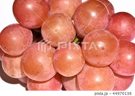 ぶどう（クイーンニーナ） 44970136