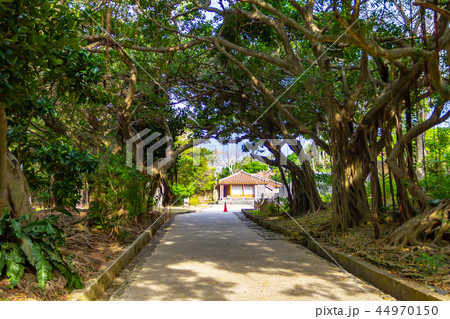 東の御番所とガジュマル 玉陵 沖縄県那覇市 東の御番所とガジュマル 玉陵 沖縄県那覇市 44970150