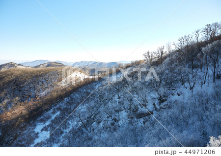 徳裕山 雪景色 冬 44971206