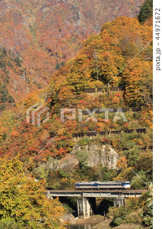 紅葉と只見線 44971672