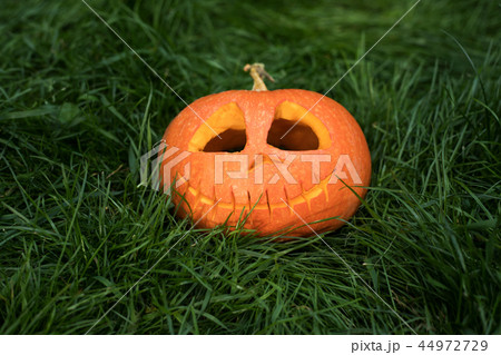 halloween carved pumpkins, jack-o-lantern halloween carved pumpkins, jack-o-lantern 44972729