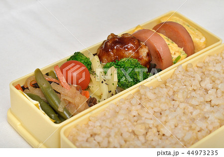 美味しいお弁当 美味しいお弁当 44973235