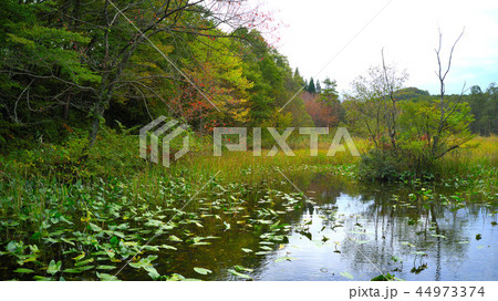田沢湖線の沿線風景 44973374