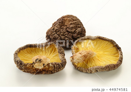 乾燥シイタケ 44974581