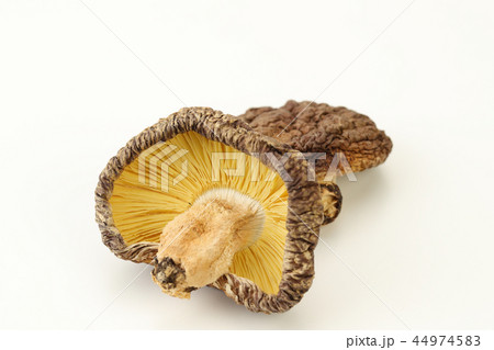 乾燥シイタケ 44974583