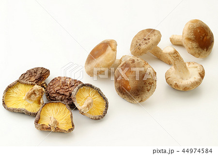 乾燥シイタケと生シイタケ 44974584