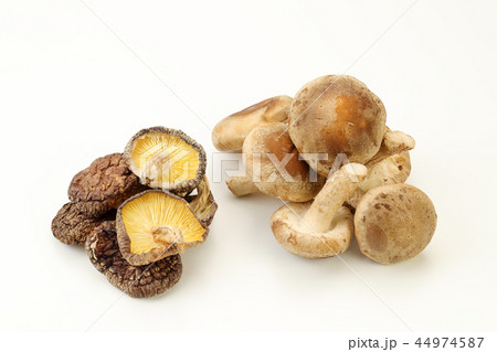 乾燥シイタケと生シイタケ 44974587