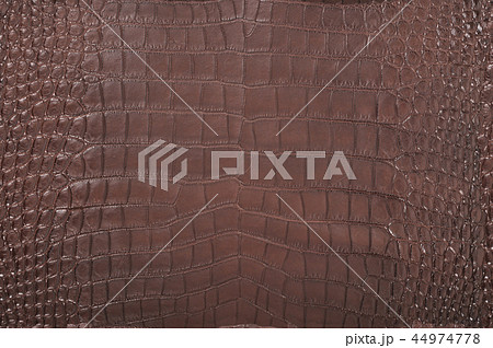 Brown crocodile leather 44974778