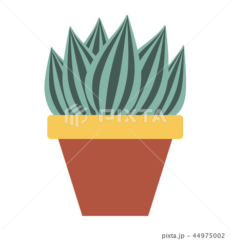 Home Cactus Icon Home Cactus Icon 44975002