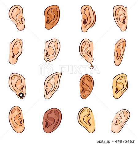 Ear vector human eardrum ear rope hearing sounds or deafness and listening body part illustration Ear vector human eardrum ear rope hearing sounds or deafness and listening body part illustration 44975462