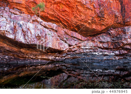 Ormiston Gorge 44976945
