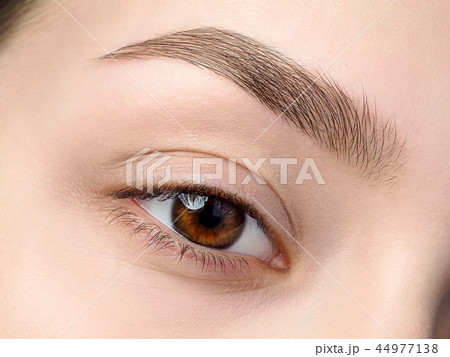 Close up view of beautiful brown female eye 44977138