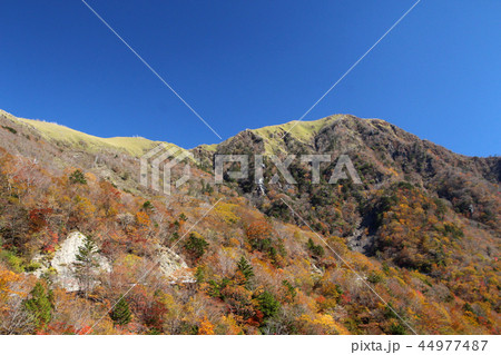 剣山スーパー林道 44977487