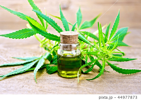 Oil hemp in bottle on old board Oil hemp in bottle on old board 44977873
