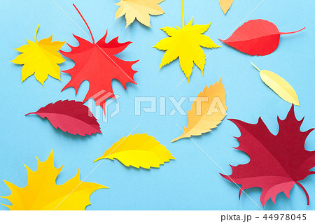 Autumn leaves on blue background. Autumn concept 44978045