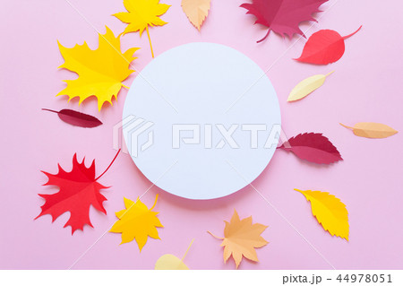 Autumn leaves on pink background. Autumn concept Autumn leaves on pink background. Autumn concept 44978051