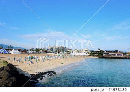 ビーチ 海 浜 44978186
