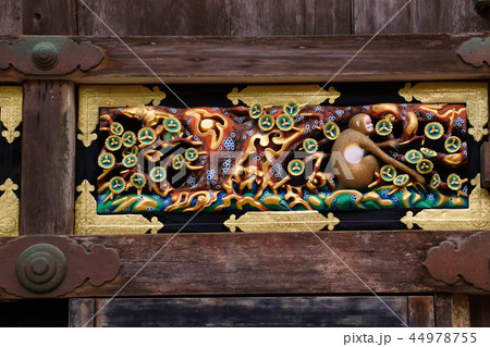 日光東照宮 神厩舎 猿の彫刻 「独り立ち」 ( 栃木県 日光市 ) 日光東照宮 神厩舎 猿の彫刻 「独り立ち」 ( 栃木県 日光市 ) 44978755