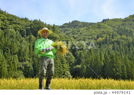 稲を収穫する笑顔のシニア 44979141