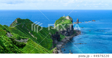 夏の神威岬 シャコタンブルー / 北海道 積丹町 夏の神威岬 シャコタンブルー / 北海道 積丹町 44979220