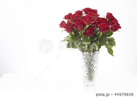紅玫瑰插在花瓶裡 照片素材 圖片 圖庫