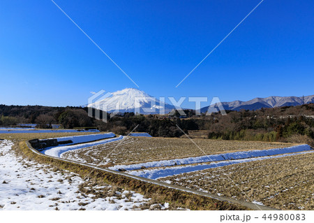 富士山と雪解けの田園風景 富士山と雪解けの田園風景 44980083