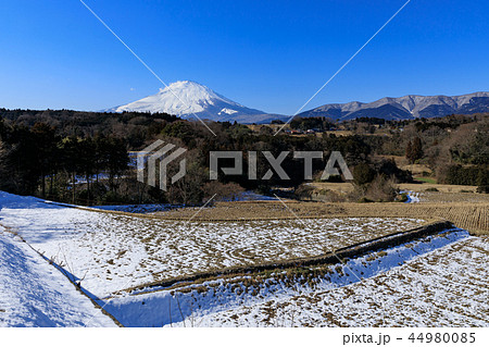 富士山と雪解けの田園風景 44980085