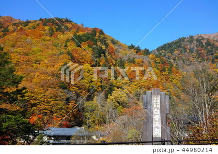 秋の白骨温泉　松本市安曇　 44980214