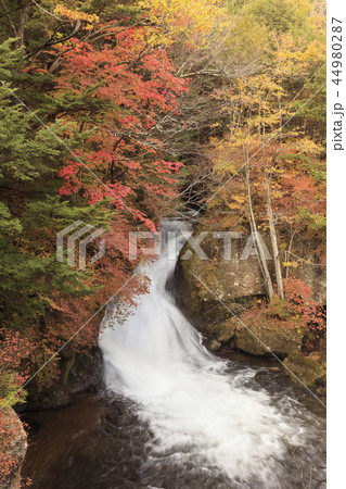 紅葉と龍頭の滝 - 日本の秋 44980287