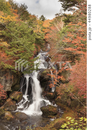 紅葉と龍頭の滝 - 日本の秋 44980288