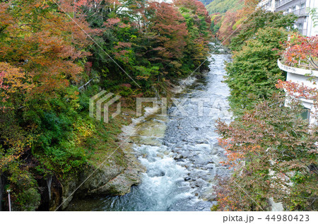 水上温泉 44980423